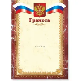 Грамота за участие в футболе грамота Россия 292 в интернет-магазине kubki-olimp.ru и cup-olimp.ru Фото 0