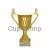 Наградной кубок с надписью  P141A-G (1) без крышки в интернет-магазине kubki-olimp.ru и cup-olimp.ru Фото 0