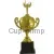 Призовое место кубки P701B-G (2) в интернет-магазине kubki-olimp.ru и cup-olimp.ru Фото 0