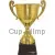 Магазин спортивных кубков РОССИЯ C (3) в интернет-магазине kubki-olimp.ru и cup-olimp.ru Фото 0