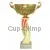 Кубок с гравировкой на заказ и cup-olimp.ru Кубок 7119C (3) в интернет-магазине kubki-olimp.ru и cup-olimp.ru Фото 0