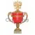 Наградной кубок с надписью P096B-RD (2) в интернет-магазине kubki-olimp.ru и cup-olimp.ru Фото 0