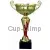 Надпись на кубке 7049A-G (1) в интернет-магазине kubki-olimp.ru и cup-olimp.ru Фото 0