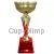 Заказать кубок с надписью 4123E (5) в интернет-магазине kubki-olimp.ru и cup-olimp.ru Фото 0
