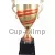 Заказать кубок с надписью 1016E (5) в интернет-магазине kubki-olimp.ru и cup-olimp.ru Фото 0