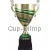 Кубок с гравировкой на заказ и cup-olimp.ru Кубок 1019B (2) в интернет-магазине kubki-olimp.ru и cup-olimp.ru Фото 0