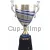 Заказать кубок с гравировкой 1021B (2) в интернет-магазине kubki-olimp.ru и cup-olimp.ru Фото 0