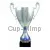 Заказать кубок с гравировкой 3069E (5) в интернет-магазине kubki-olimp.ru и cup-olimp.ru Фото 0