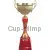 Кубок с гравировкой на заказ и cup-olimp.ru Кубок 3076B (2) в интернет-магазине kubki-olimp.ru и cup-olimp.ru Фото 0