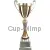 Надпись на кубке победителя соревнований 3080D (4) в интернет-магазине kubki-olimp.ru и cup-olimp.ru Фото 0