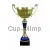 Сделать гравировку на кубке 3086G (7) в интернет-магазине kubki-olimp.ru и cup-olimp.ru Фото 0