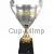 Купить кубок с надписью 1008C (3) в интернет-магазине kubki-olimp.ru и cup-olimp.ru Фото 0