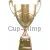 Купить кубок с надписью 1028A (1) в интернет-магазине kubki-olimp.ru и cup-olimp.ru Фото 0