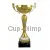 Наградные кубки и cup-olimp.ru купить 4063G (7) в интернет-магазине kubki-olimp.ru и cup-olimp.ru Фото 0