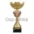 Бюджетный  Кубок 4089A (1) в интернет-магазине kubki-olimp.ru и cup-olimp.ru Фото 0