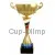 Купить кубок с надписью 4090D (4) в интернет-магазине kubki-olimp.ru и cup-olimp.ru Фото 0