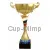Купить кубок с надписью 4090B (2) в интернет-магазине kubki-olimp.ru и cup-olimp.ru Фото 0