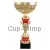 Наградной кубок с надписью 4098F (6) в интернет-магазине kubki-olimp.ru и cup-olimp.ru Фото 0