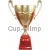 Кубок с надписью на заказ 1040B (2) в интернет-магазине kubki-olimp.ru и cup-olimp.ru Фото 0