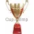 Кубок с надписью на заказ 1040B (2) в интернет-магазине kubki-olimp.ru и cup-olimp.ru Фото 0