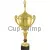 Заказать кубок с надписью в и cup-olimp.ru РУС1102 E (5) с крышкой недорого в интернет-магазине kubki-olimp.ru и cup-olimp.ru Фото 0