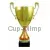 Кубок призовой 3068C (3) в интернет-магазине kubki-olimp.ru и cup-olimp.ru Фото 0