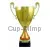 Кубок призовой 3068D (4) в интернет-магазине kubki-olimp.ru и cup-olimp.ru Фото 0