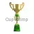 Кубок с надписью на заказ 3093B (2) с крышкой в интернет-магазине kubki-olimp.ru и cup-olimp.ru Фото 0