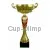 Кубок с надписью на заказ 4007A (1) в интернет-магазине kubki-olimp.ru и cup-olimp.ru Фото 0