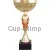 Кубок престижный 7069B (2) в интернет-магазине kubki-olimp.ru и cup-olimp.ru Фото 0