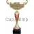 Кубок призовой 7070B (2) в интернет-магазине kubki-olimp.ru и cup-olimp.ru Фото 0