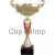 Кубок призовой 7070E (5) в интернет-магазине kubki-olimp.ru и cup-olimp.ru Фото 0