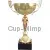 Купить наградные кубки в и cup-olimp.ru 7099B (2) в интернет-магазине kubki-olimp.ru и cup-olimp.ru Фото 0
