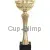Надпись на кубке 8084C (3) в интернет-магазине kubki-olimp.ru и cup-olimp.ru Фото 0