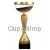 Купить кубок с надписью РУС1124D (4) в интернет-магазине kubki-olimp.ru и cup-olimp.ru Фото 0