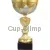 Сувенирный кубок P335A-G/S (1) в интернет-магазине kubki-olimp.ru и cup-olimp.ru Фото 0