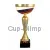 Купить наградные кубки в и cup-olimp.ru РУС1120C (3) в интернет-магазине kubki-olimp.ru и cup-olimp.ru Фото 0