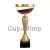 Купить наградные кубки в и cup-olimp.ru РУС1120B (2) в интернет-магазине kubki-olimp.ru и cup-olimp.ru Фото 0