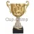 Заказать кубок с надписью в и cup-olimp.ru 8.A (1) недорого в интернет-магазине kubki-olimp.ru и cup-olimp.ru Фото 0