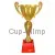 Купить спортивный кубок 3117A (1) в интернет-магазине kubki-olimp.ru и cup-olimp.ru Фото 0