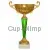 Кубок престижный 7112B (2) в интернет-магазине kubki-olimp.ru и cup-olimp.ru Фото 0