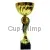 Сделать гравировку на кубке K523 C в интернет-магазине kubki-olimp.ru и cup-olimp.ru Фото 0