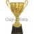 Купить кубок D269D в интернет-магазине kubki-olimp.ru и cup-olimp.ru Фото 0