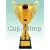 кубок наградной купить Д2038 A в интернет-магазине kubki-olimp.ru и cup-olimp.ru Фото 0