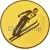 Вкладыш лыжи D2 A95  в медали за места в интернет-магазине kubki-olimp.ru и cup-olimp.ru Фото 0