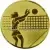 Спортивные вкладыш женский волейбол am1-20-g в медали цены каталог в интернет-магазине kubki-olimp.ru и cup-olimp.ru Фото 0