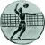 Вкладыш волейбол D1 A6/S в медали спортивные для детей в интернет-магазине kubki-olimp.ru и cup-olimp.ru Фото 0