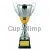Кубки наградные спортивные D2037B в интернет-магазине kubki-olimp.ru и cup-olimp.ru Фото 0