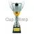 Кубки наградные спортивные D2037C в интернет-магазине kubki-olimp.ru и cup-olimp.ru Фото 0