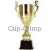 Кубок с гравировкой на заказ и cup-olimp.ru Кубок R2559E в интернет-магазине kubki-olimp.ru и cup-olimp.ru Фото 0